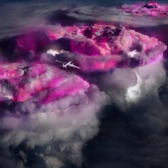 Gamma Quiver Day Set