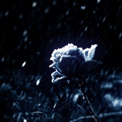 imsorryforhowiacted (p.larua)