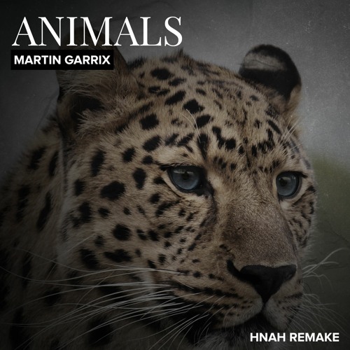 Stream Martin Garrix - Animals (HNAH Tropical House Remake) by HNAH |  Listen online for free on SoundCloud