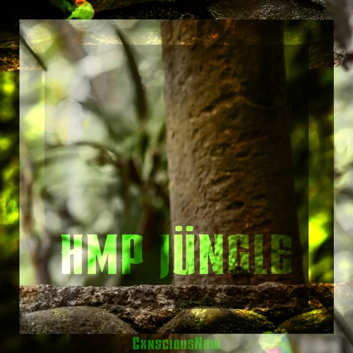 HMP JUNGLE (Prod. By CxnsciousNow)