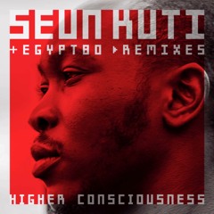 Seun Kuti & Egypt 80 - Higher Consciousness (Dancehall Qmillion Remix) (feat. Everton E-Dee Dennis)