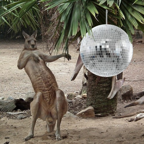 Our Most Loved Party Tunes From 2022!!