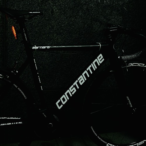 붉은백합 틱톡 리믹스