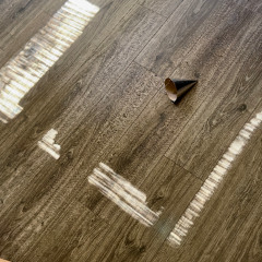 Butterflies (Paramore Remix)