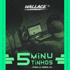 5 MIN DE PUTARIA PROD.WALLACE DJ (PUXA A TROPA DJ) 2021