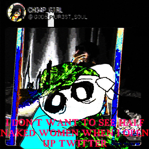 i dont want to see half naked women when i open up twitter