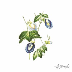 DSF feat Adedeji - Kisses Under Butterflies (Tone Depth Remix)