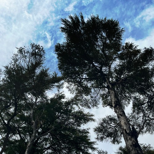 Hazy blue -(naviarhaiku477)Video for this track- https://www.youtube.com/watch?v=uKLDxIXsAXU&t=133s