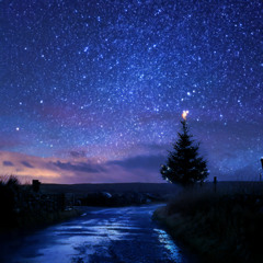 THE STARS OF CHRISTMAS