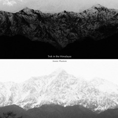 Trek in the Himalayas