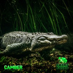 Swamp Squad Vol. 5 - Camber - Deep atmospheric techno (2021-11-06)