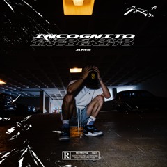 AMS - INCOGNITO