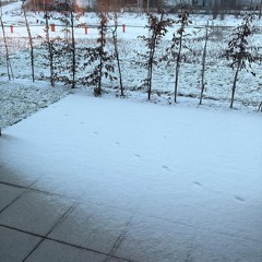 Winter in Berlin