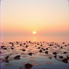 Journey to Self-Care