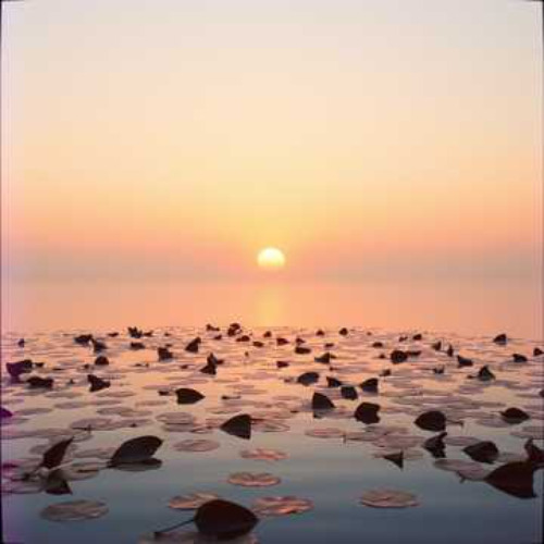 Journey to Self-Care