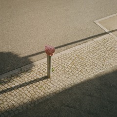 love is on my side #28 | 24.07.2024