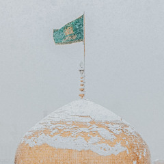 امام رضا خيلى دوست دارم