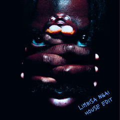 Damso - Limbisa Ngai House Edit