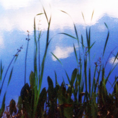 Lakefront 🏞️ (Yamaha QY70 + Yamaha DS55, Recorded 2008)