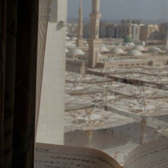 هزّني الشوق لأهل الحجرات..
