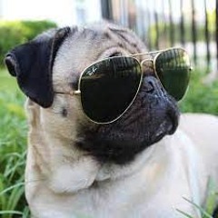 селфхармит