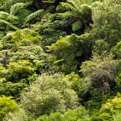 Solo øveopptak utdrag 5