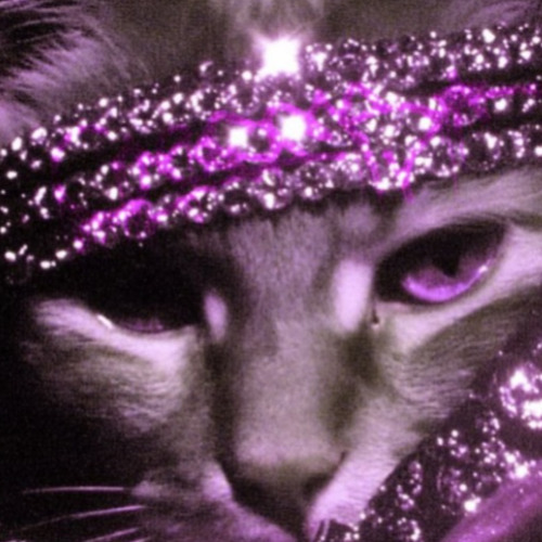 JACK DEEN | Prod Purc