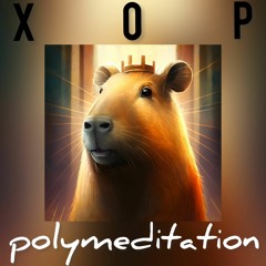 XOP - POLYMEDITATION (аутотренинг 'Благодарю!') ASMR закрой глаза и послушай!