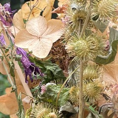 flysprite - trees and flowers (strawberry switchblade cover)