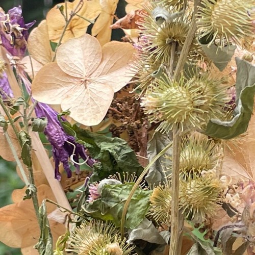 Stream flysprite trees and flowers (strawberry switchblade cover) by