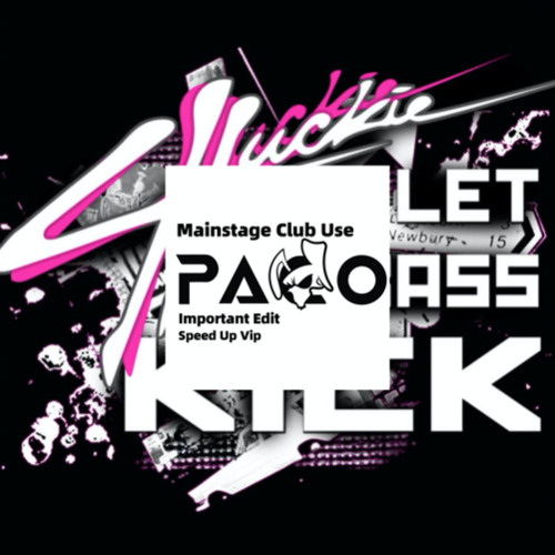 Let The Bass Kick (PACO VIP)