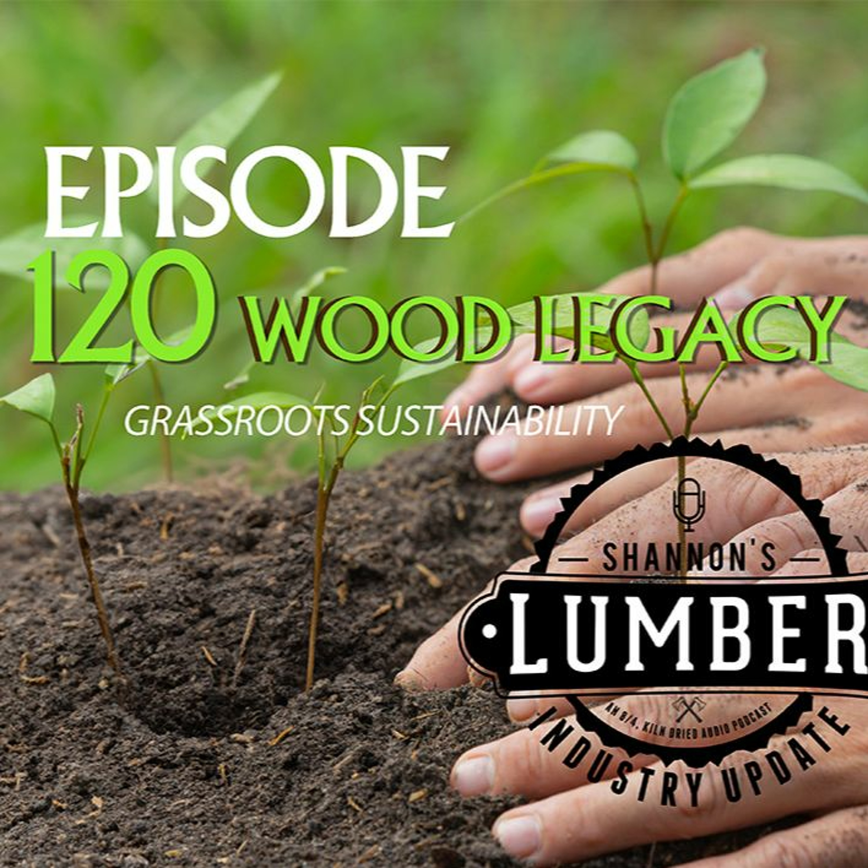 120 - Wood Legacy