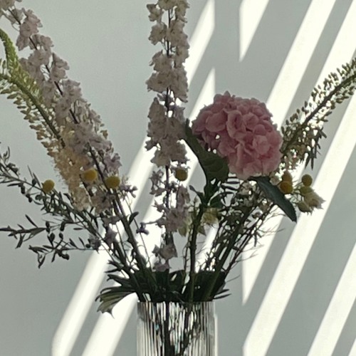 Johannes - May 23 - Spaceape