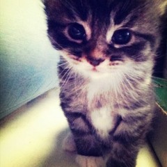 Я ХОЧУ ТРАХАТЬ СУЧЕК