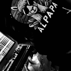 ALPAPA - SpaceFrog B2B2B Kitty F.LUX & Frau Schulz (Live Record 19.07.24)
