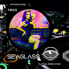 Introducing... Guest Mix #065 Seaglass