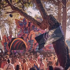 Z.Nish.A- One Last Dance - Nisha.Acid Tribute Set