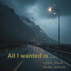 all i wanted is ...