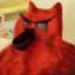 new account - @sacr_i