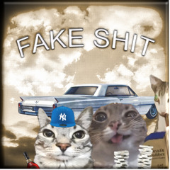 FAKE SHIT