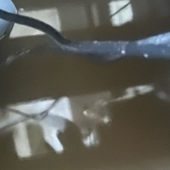 All In my Head produced by Anno Domini