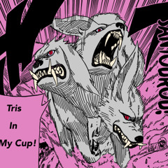 akamaru era extras