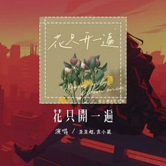 歪歪超,袁小葳 - 花只开一遍「我是鱼 决然奔向了你的沙丘 我的花只开一遍」【動態歌詞/Lyrics Video】#歪歪超 #袁小葳 #花只开一遍 #動態歌詞