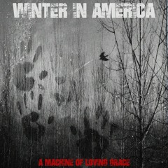 Winter In America