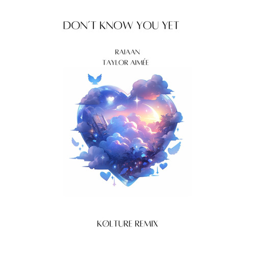 Don’t Know You Yet - RAIAAN (Ft.Taylor Aimée){KØLTURE Remix}