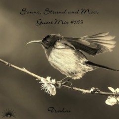 Sonne, Strand und Meer Guest Mix #163 by Drahm