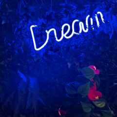 TRAVEL TO THE BLUE DREAMS