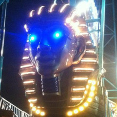 these_aren't_chantrelles