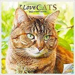 ( HyY ) I Love Cats Calendar 2022 -- Deluxe 2022 I Love Cats Wall Calendar Bundle with Over 100 Cale