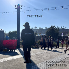 Fighting